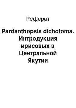 Реферат: Pardanthopsis dichotoma. Интродукция ирисовых в Центральной Якутии