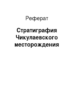 Реферат: Стратиграфия Чикулаевского месторождения