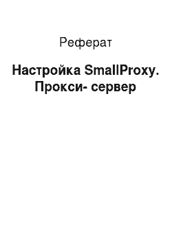 Реферат: Настройка SmallProxy. Прокси-сервер