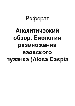 Реферат: Аналитический обзор. Биология размножения азовского пузанка (Alosa Caspia Tanaica) в нижнем течении реки Кубань