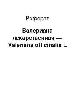 Реферат: Валериана лекарственная — Valeriana officinalis L
