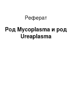 Реферат: Род Mycoplasma и род Ureaplasma