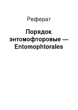 Реферат: Порядок энтомофторовые — Entomophtorales
