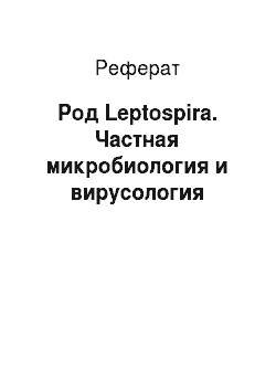 Реферат: Род Leptospira. Частная микробиология и вирусология
