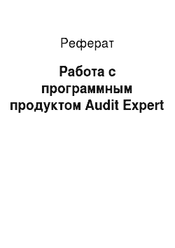 Реферат: Работа с программным продуктом Audit Expert