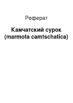 Реферат: Камчатский сурок (marmota camtschatica)