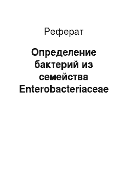 Реферат: Определение бактерий из семейства Enterobacteriaceae