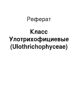 Реферат: Класс Улотрихофициевые (Ulothrichophyceae)