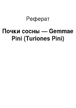 Реферат: Почки сосны — Gemmae Pini (Turiones Pini)