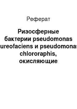 Реферат: Ризосферные бактерии pseudomonas aureofaciens и pseudomonas chlororaphis, окисляющие нафталин в присутствиимышьяка