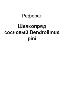 Реферат: Шелкопряд сосновый Dendrolimus pini