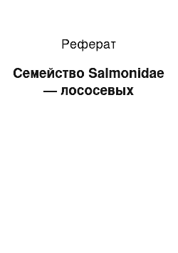 Реферат: Семейство Salmonidae — лососевых