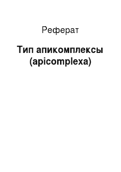 Реферат: Тип апикомплексы (apicomplexa)