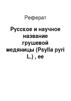 Реферат: Русское и научное название грушевой медяницы (Psylla pyri L.) , ее систематическое положение и краткая история изучения