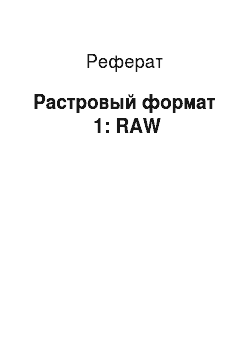 Реферат: Растровый формат №1: RAW