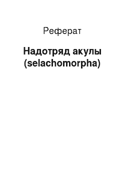 Реферат: Надотряд акулы (selachomorpha)