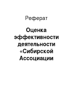 Реферат: Оценка эффективности деятельности «Сибирской Ассоциации Маркетинга»