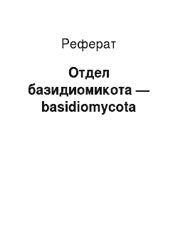 Реферат: Отдел базидиомикота — basidiomycota