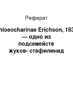 Реферат: Phloeocharinae Erichson, 1839 — одно из подсемейств жуков-стафилинид