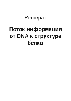 Реферат: Поток информации от DNA к структуре белка