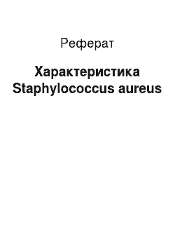 Реферат: Характеристика Staphylococcus aureus