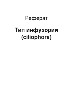 Реферат: Тип инфузории (ciliophora)