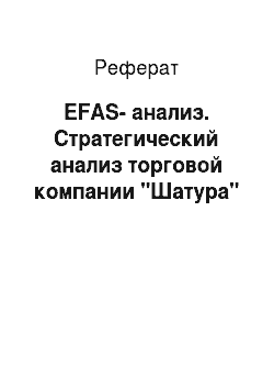 Реферат: EFAS-анализ. Стратегический анализ торговой компании "Шатура"
