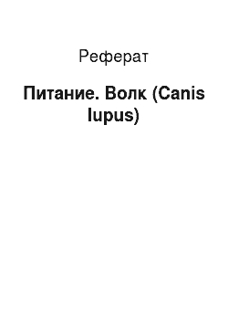 Реферат: Питание. Волк (Canis lupus)