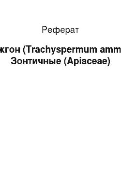 Реферат: Ажгон (Trachyspermum ammi). Зонтичные (Apiaceae)