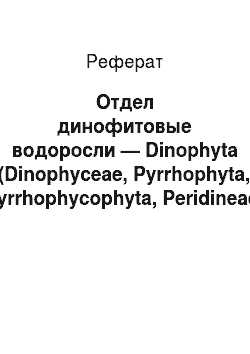 Реферат: Отдел динофитовые водоросли — Dinophyta (Dinophyceae, Pyrrhophyta, Pyrrhophycophyta, Peridineae)