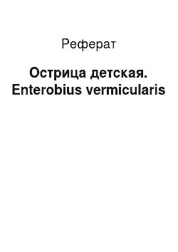 Реферат: Острица детская. Enterobius vermicularis