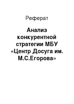 Реферат: Анализ конкурентной стратегии МБУ «Центр Досуга им. М.С.Егорова»