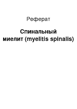 Реферат: Спинальный миелит (myelitis spinalis)