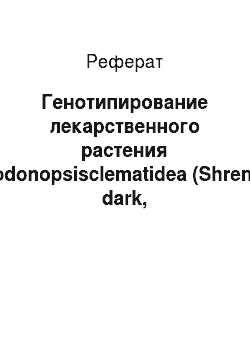 Реферат: Генотипирование лекарственного растения Codonopsisclematidea (Shrenk) dark, произрастающего на территории Юго-Восточного Казахстана