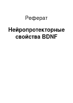 Реферат: Нейропротекторные свойства BDNF