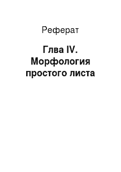Реферат: Глва IV. Морфология простого листа