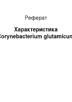 Реферат: Характеристика Corynebacterium glutamicum