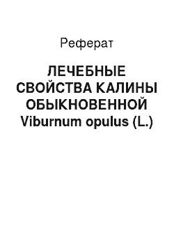 Реферат: ЛЕЧЕБНЫЕ СВОЙСТВА КАЛИНЫ ОБЫКНОВЕННОЙ Viburnum opulus (L.)