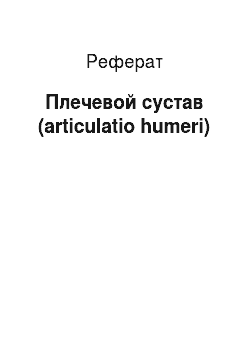 Реферат: Плечевой сустав (articulatio humeri)