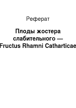 Реферат: Плоды жостера слабительного — Fructus Rhamni Catharticae