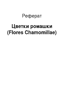 Реферат: Цветки ромашки (Flores Chamomillae)