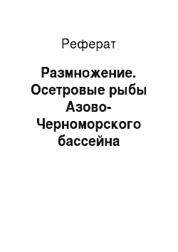 Реферат: Размножение. Осетровые рыбы Азово-Черноморского бассейна