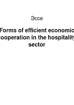 Эссе: Forms of efficient economic cooperation in the hospitality sector