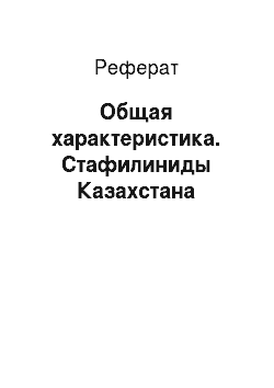 Реферат: Общая характеристика. Стафилиниды Казахстана
