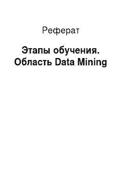 Реферат: Этапы обучения. Область Data Mining