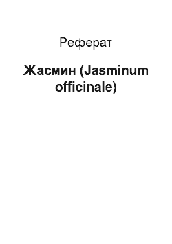 Реферат: Жасмин (Jasminum officinale)