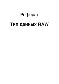 Реферат: Тип данных RAW