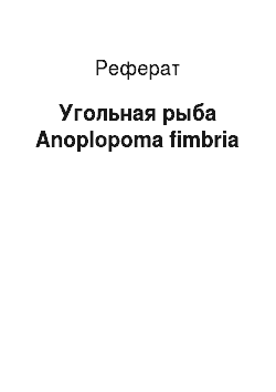 Реферат: Угольная рыба Anoplopoma fimbria