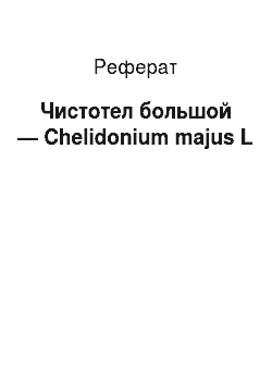 Реферат: Чистотел большой — Chelidonium majus L