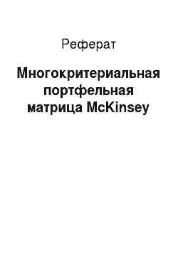 Реферат: Многокритериальная портфельная матрица McKinsey
